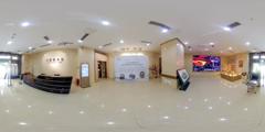 重庆大渡口博物馆 古琴展 (2)